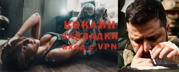 шишки Ладушкин
