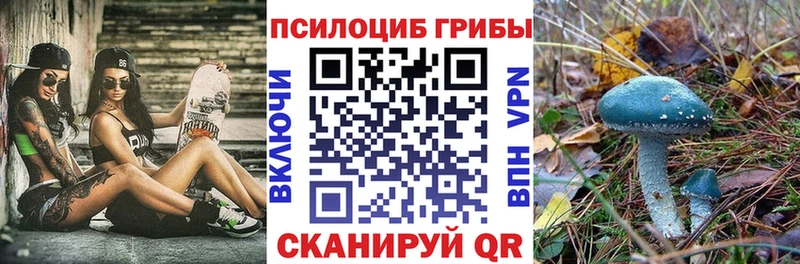 Псилоцибиновые грибы Magic Shrooms  Купить  Сыктывкар 